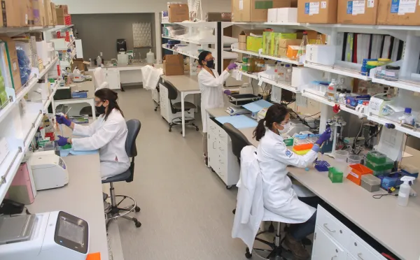 three people working independently in a lab