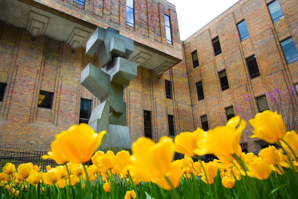 SoD Umich Building 