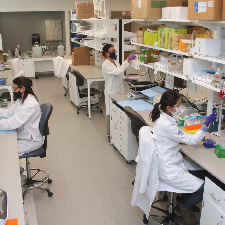 three people working independently in a lab