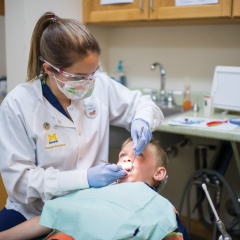 dental cleaning in progress